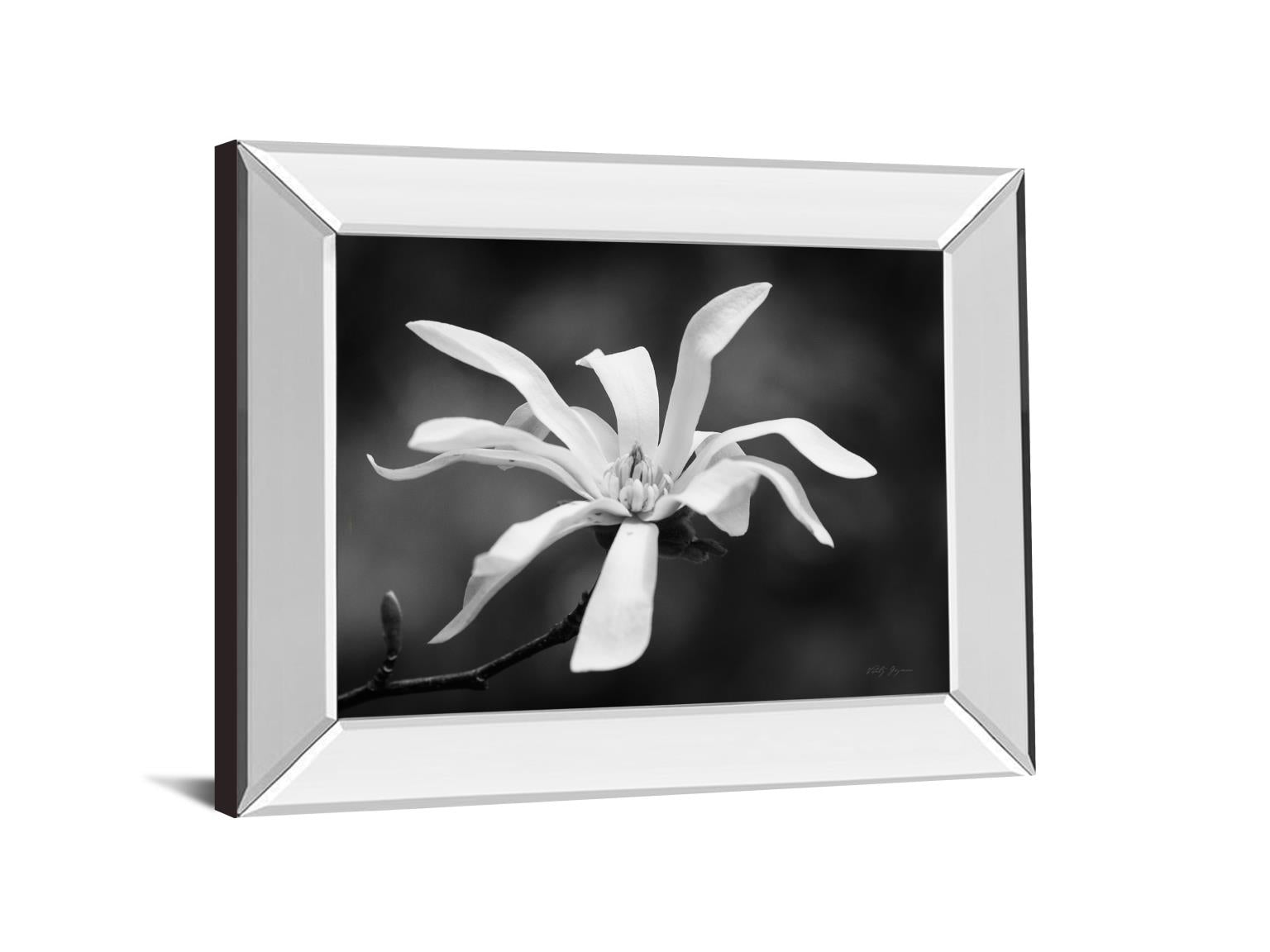 Mirrored Frame Magnolia Dreams I By Geyman Vitaly 22X26 Mirror Frame Print