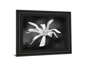 Magnolia Dreams I By Geyman Vitaly 22X26 Framed Print