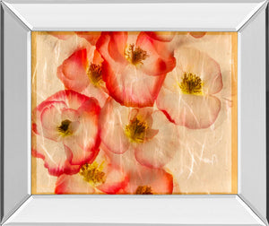 Mirrored Frame Papaver Dreams Iii By Harold Davis 22X26 Mirror Frame Print