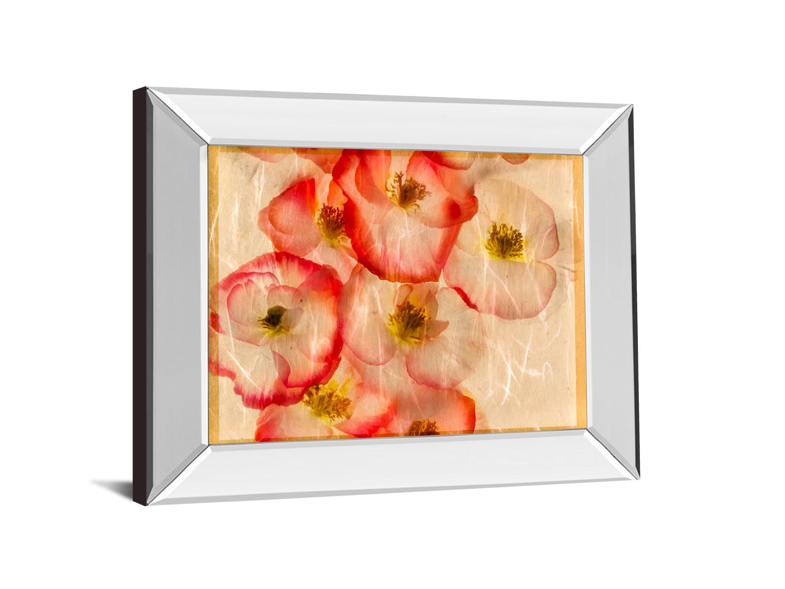 Mirrored Frame Papaver Dreams Iii By Harold Davis 22X26 Mirror Frame Print