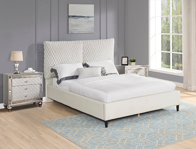 Violet Bed White Dove