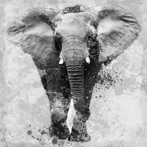 Proud Elephant By Carol Robinson Giclee Canvas