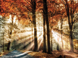 Dreaming In By Lars Van De Goor Giclee Canvas