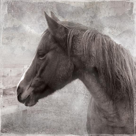 Vintage View Ii By Carol Robinson Giclee Canvas