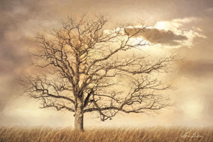 Golden Tree By Lori Deiter Giclee Canvas