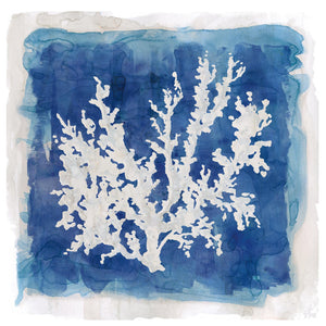 Coastal Washes Coral Ii By Carol Robinson Giclee Canvas