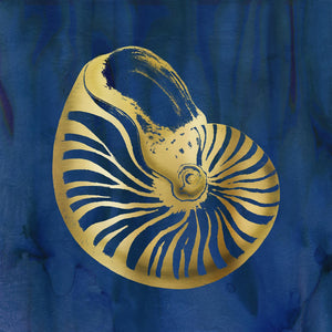 Indigo Sea Treasure V By Carol Robinson Giclee Canvas