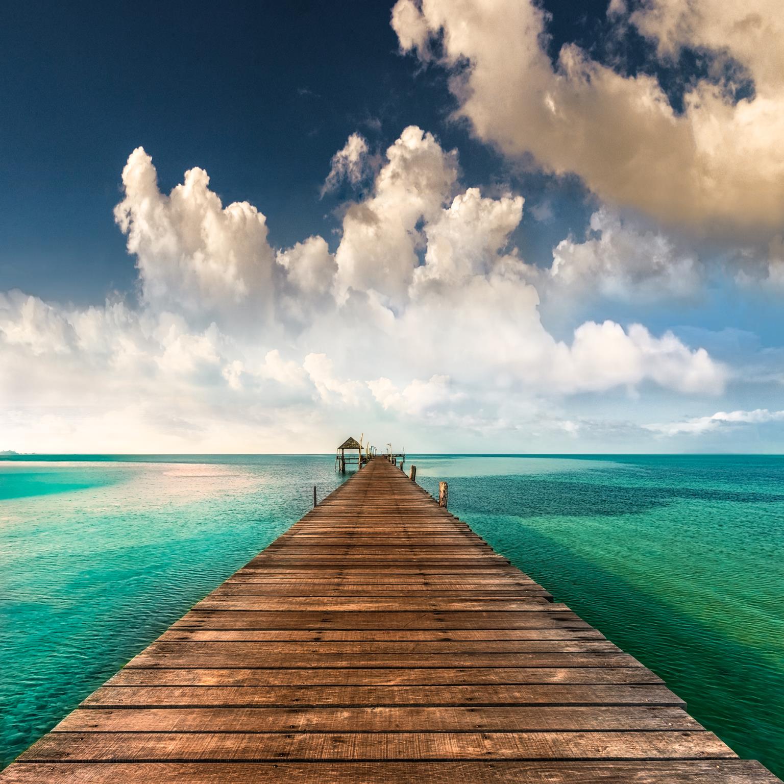 Tropic Blues By Mike Calascibetta Giclee Canvas