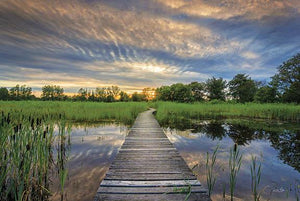 Boardwalk By Martin Podt Giclee Canvas
