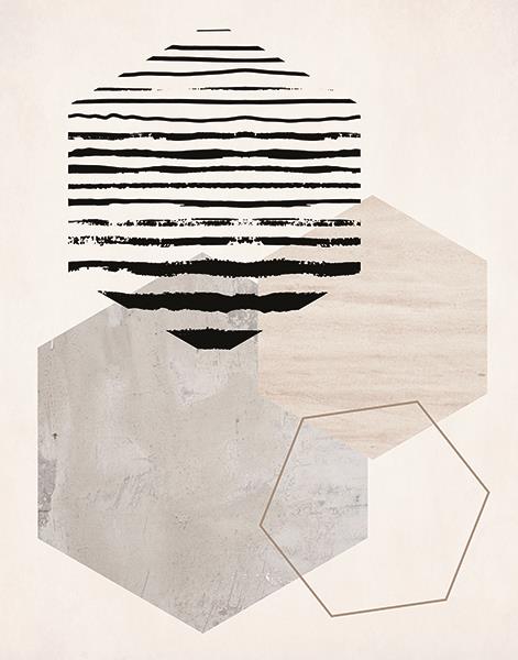 Hexagonal Display Ii By Daniela Santiago Giclee Canvas