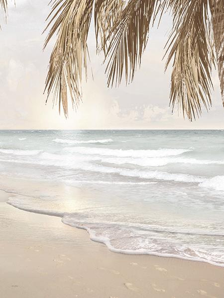 Coastal Dreams Iv By Amber Sterling Giclee Canvas