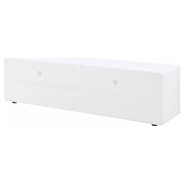 Elkton 2-drawer Engineered Wood 59-inch TV Stand Mango