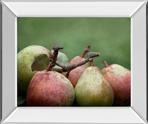 Mirrored Frame Comice Pear Ii By Rachel Perry 22X26 Mirror Frame Print