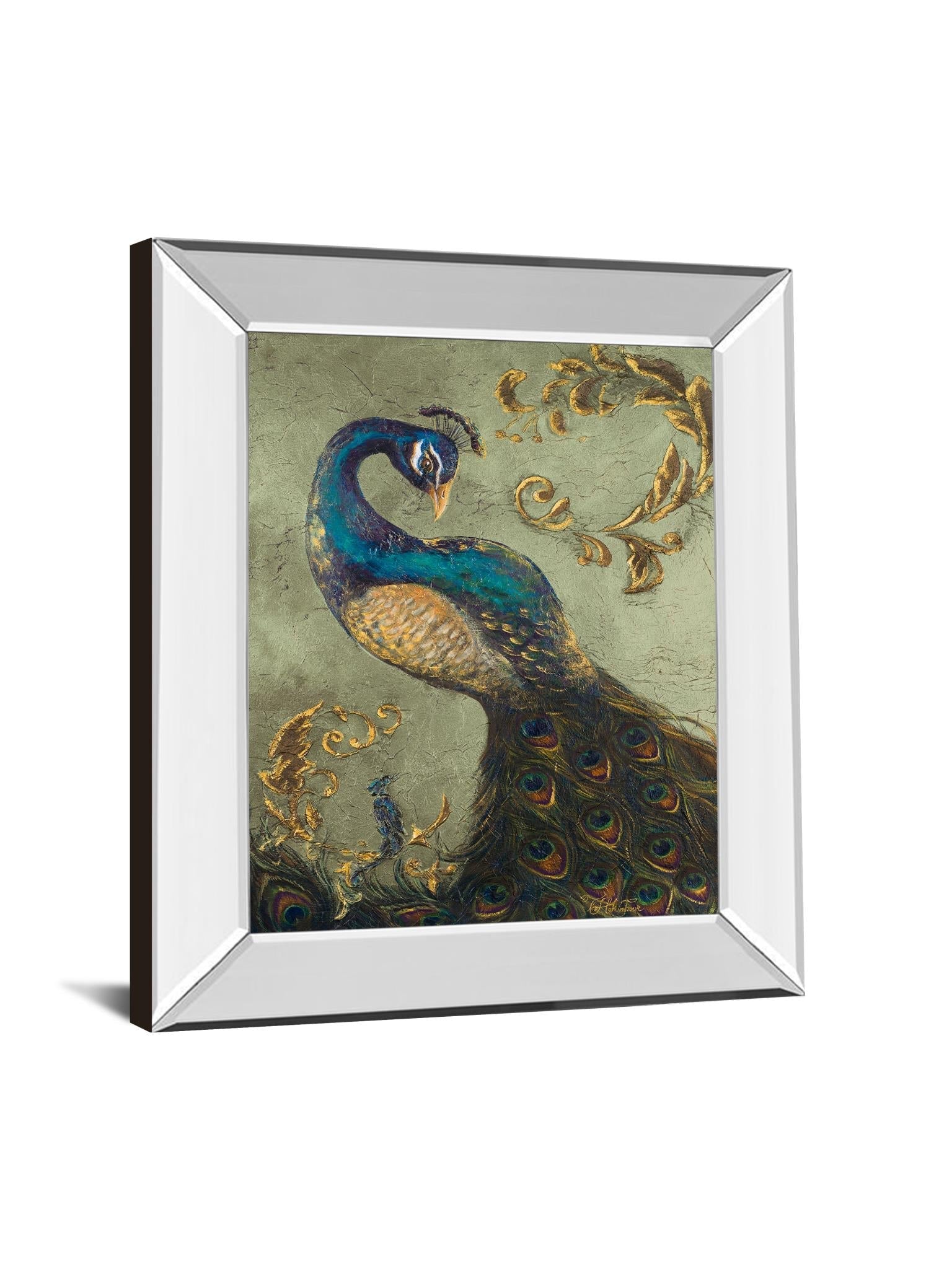 Mirrored Frame Peacock On Sage Ii By Tiffany Hakimipour 22X26 Mirror Frame Print