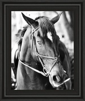 Derby I By Susan Bryant 22X26 Framed Print