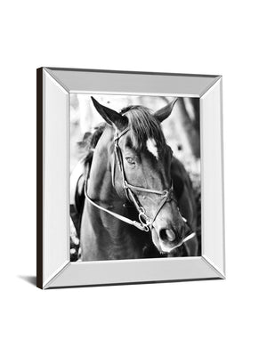 Mirrored Frame Derby I By Susan Bryant 22X26 Mirror Frame Print