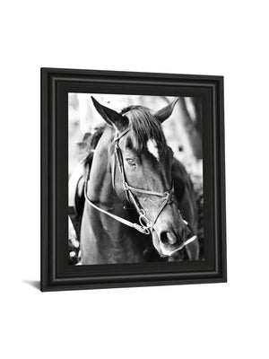 Derby I By Susan Bryant 22X26 Framed Print