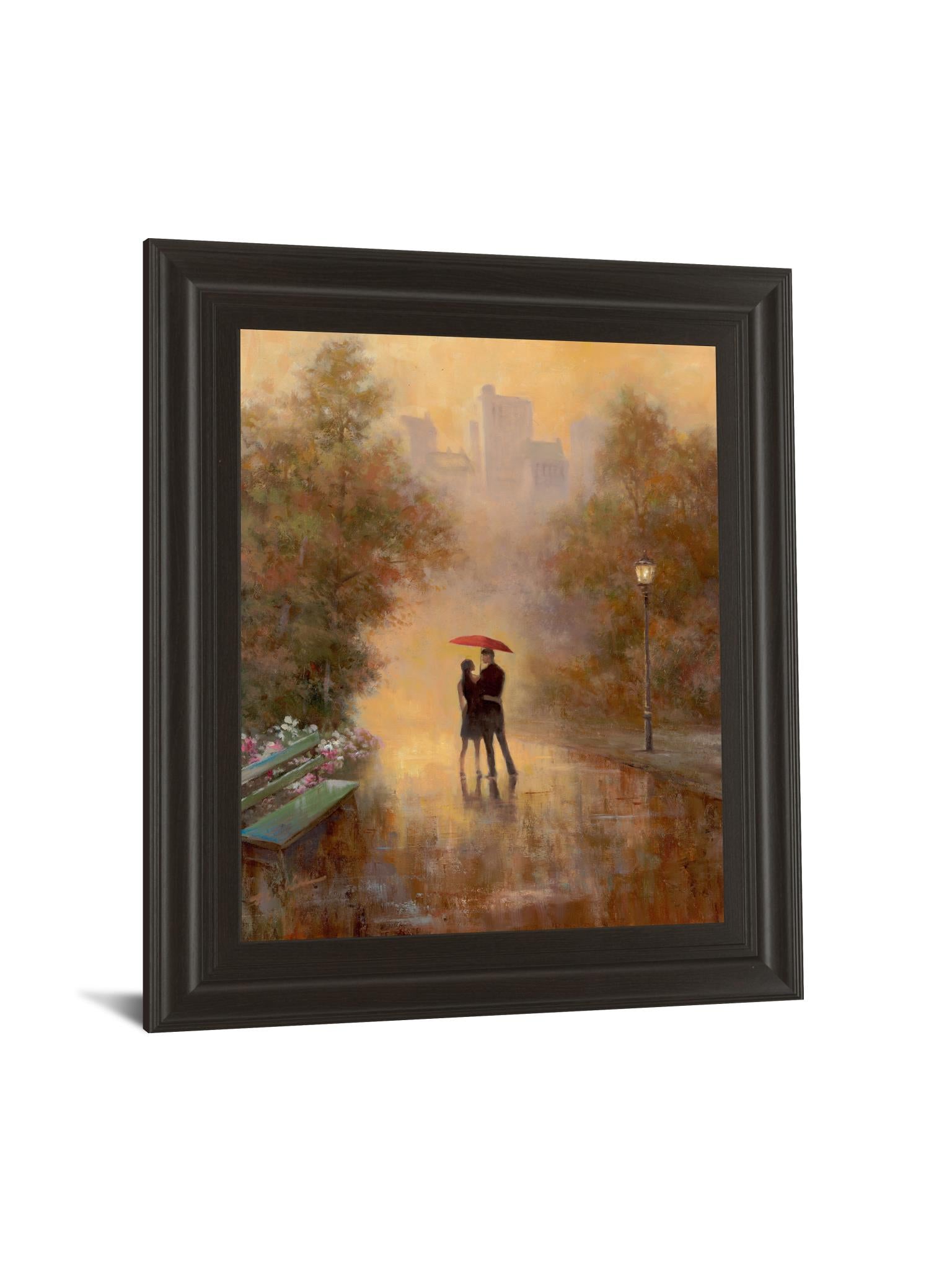 Walk In The Park I By T.C. Chiu 22X26 Framed Print