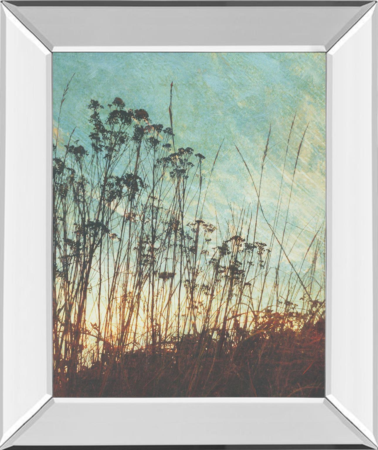 Mirrored Frame Wild Grass By Amy Melious 22X26 Mirror Frame Print