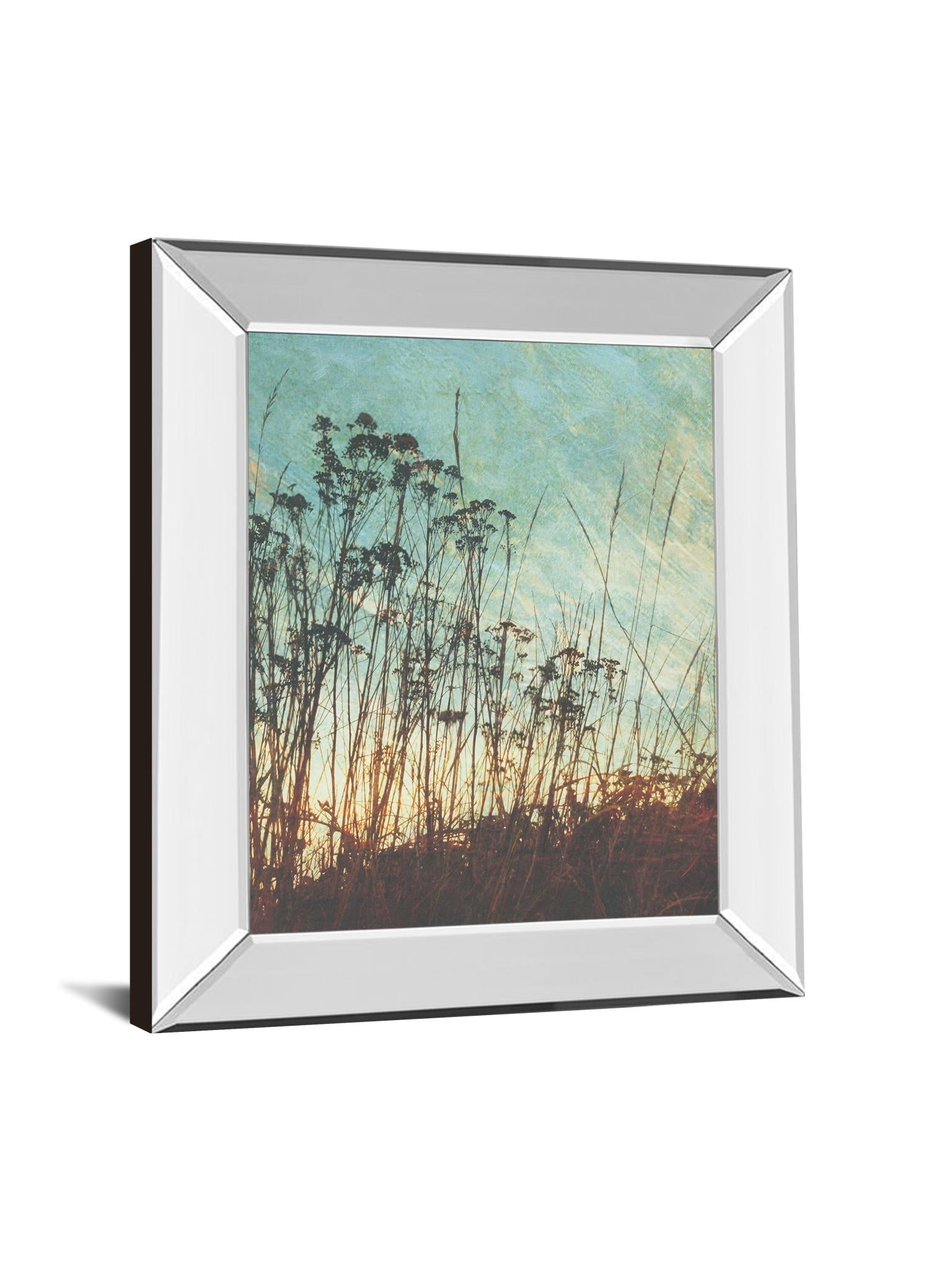 Mirrored Frame Wild Grass By Amy Melious 22X26 Mirror Frame Print