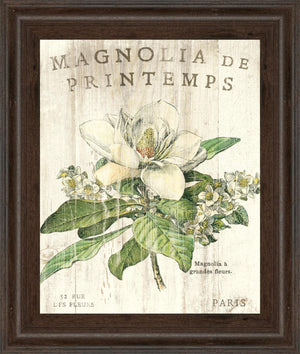 Magnolia De Printemps By Sue Schlabach 22X26 Framed Print