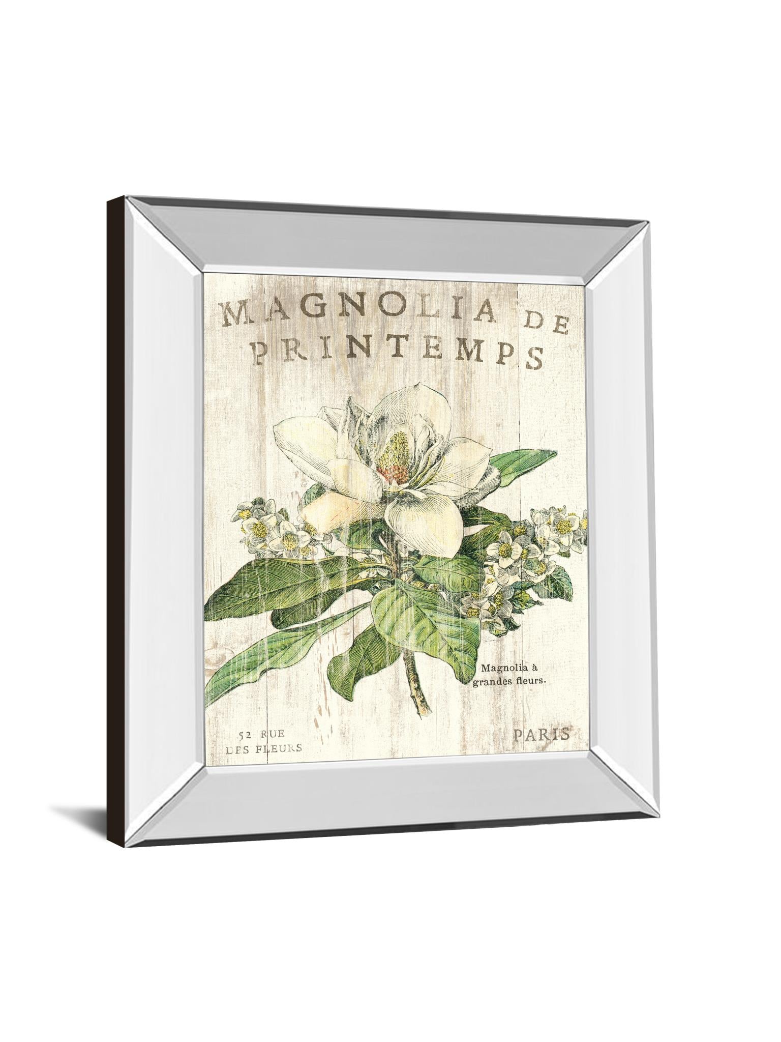 Mirrored Frame Magnolia De Printemps By Sue Schlabach 22X26 Mirror Frame Print