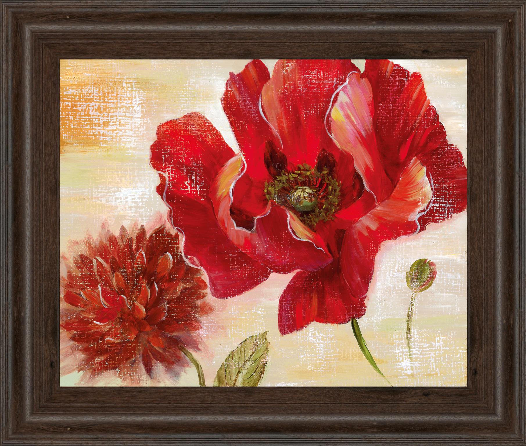 Passion For Poppies Ii By Nan 22X26 Framed Print