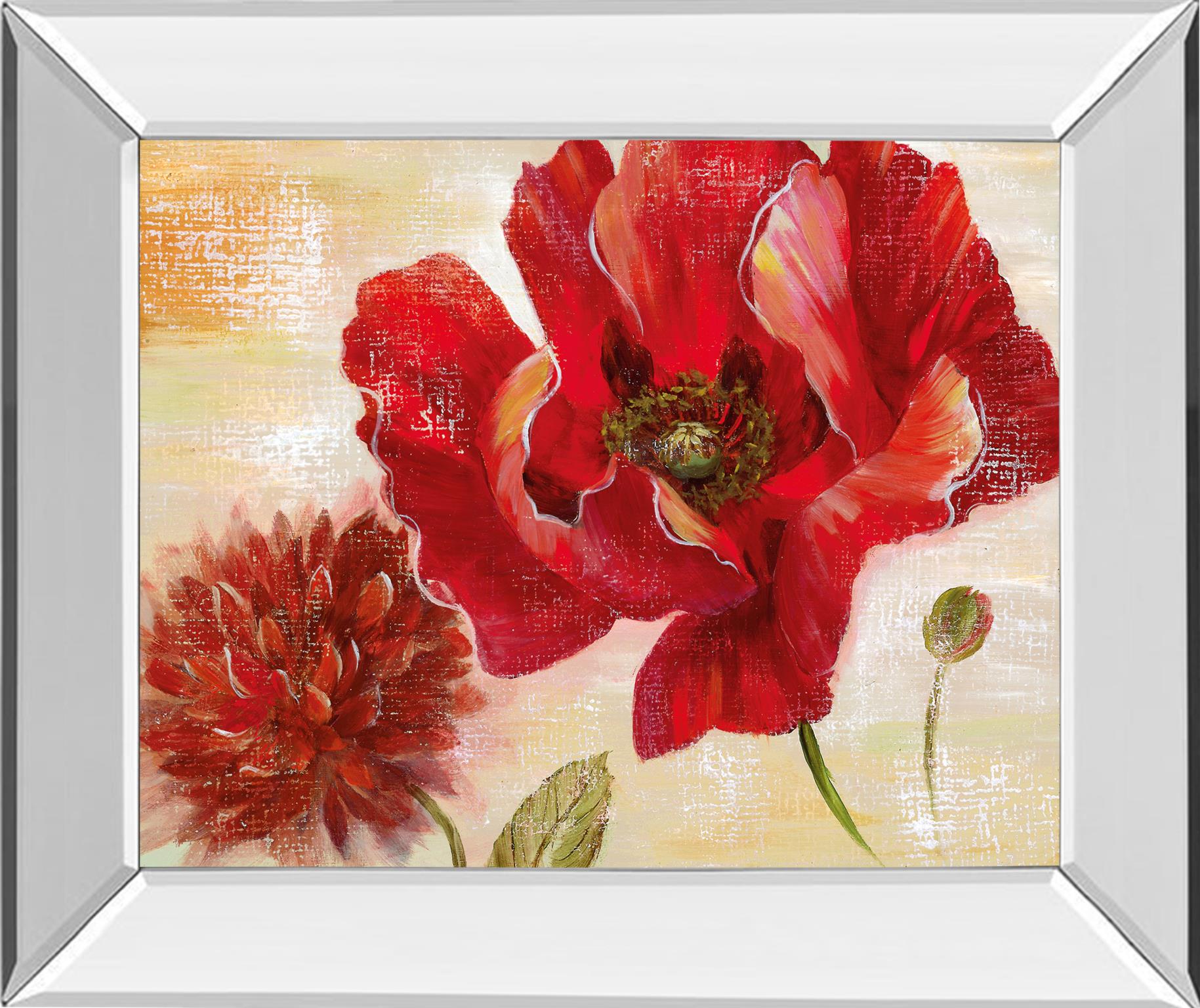 Mirrored Frame Passion For Poppies Ii By Nan 22X26 Mirror Frame Print
