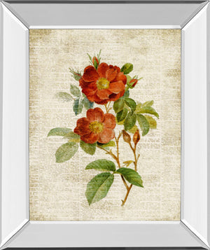 Mirrored Frame Roses On Newsprint Ii By Lanie Loreth 22X26 Mirror Frame Print