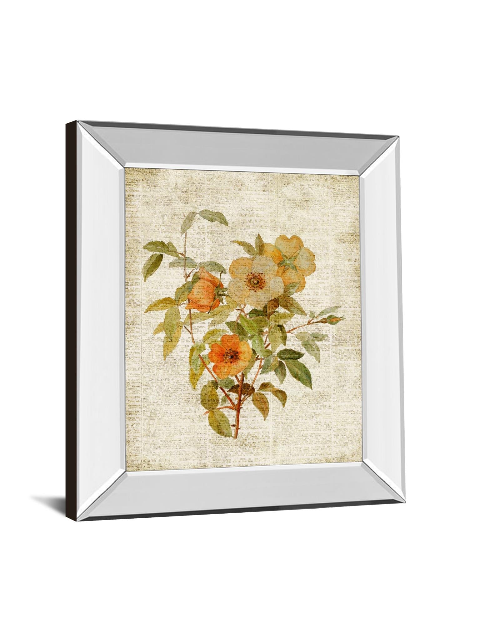 Mirrored Frame Roses On Newsprint I By Lanie Loreth 22X26 Mirror Frame Print