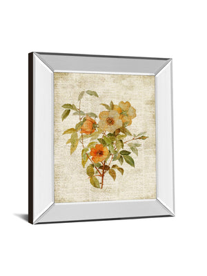 Mirrored Frame Roses On Newsprint I By Lanie Loreth 22X26 Mirror Frame Print