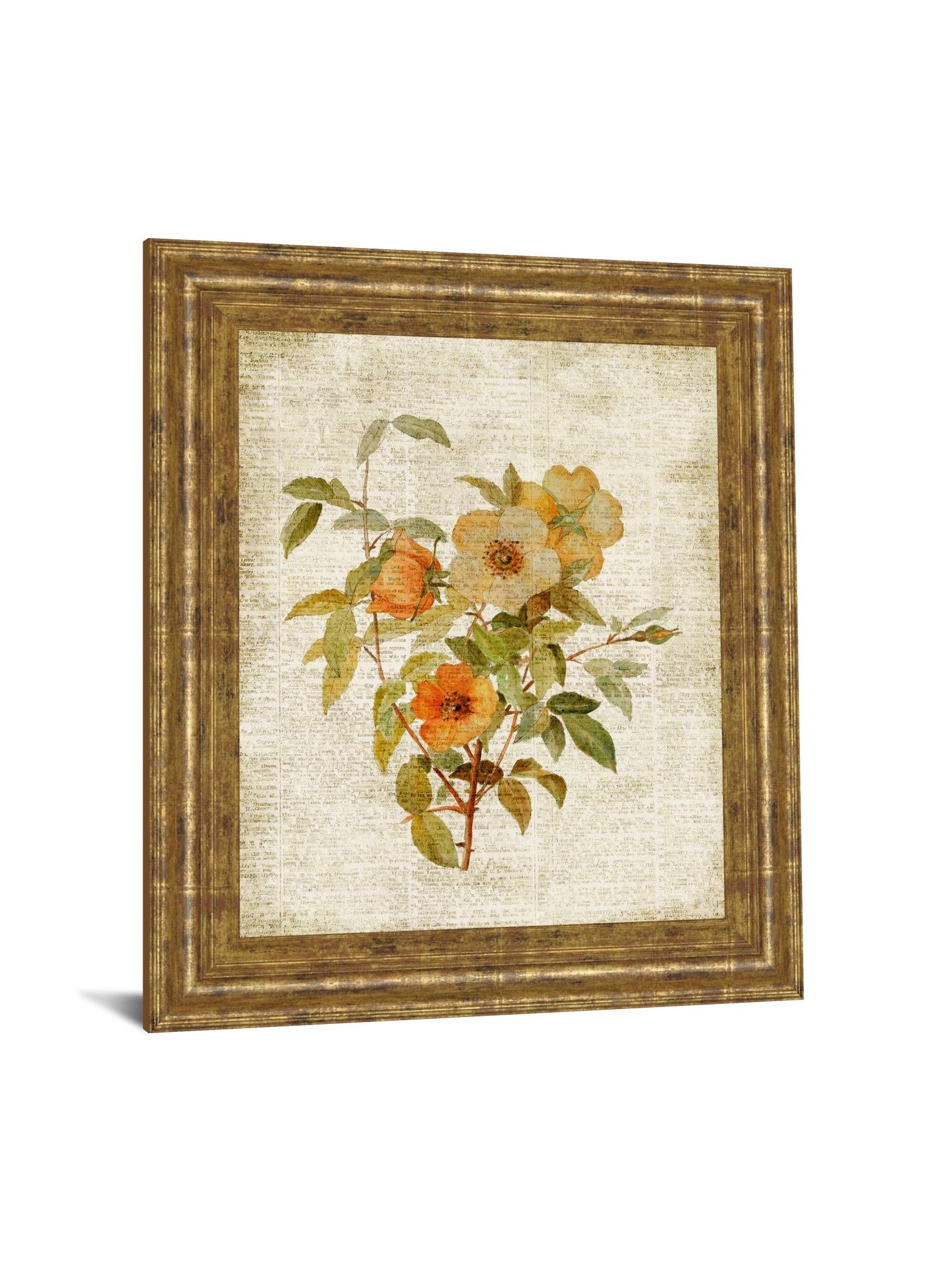 Roses On Newsprint I By Lanie Loreth 22X26 Framed Print