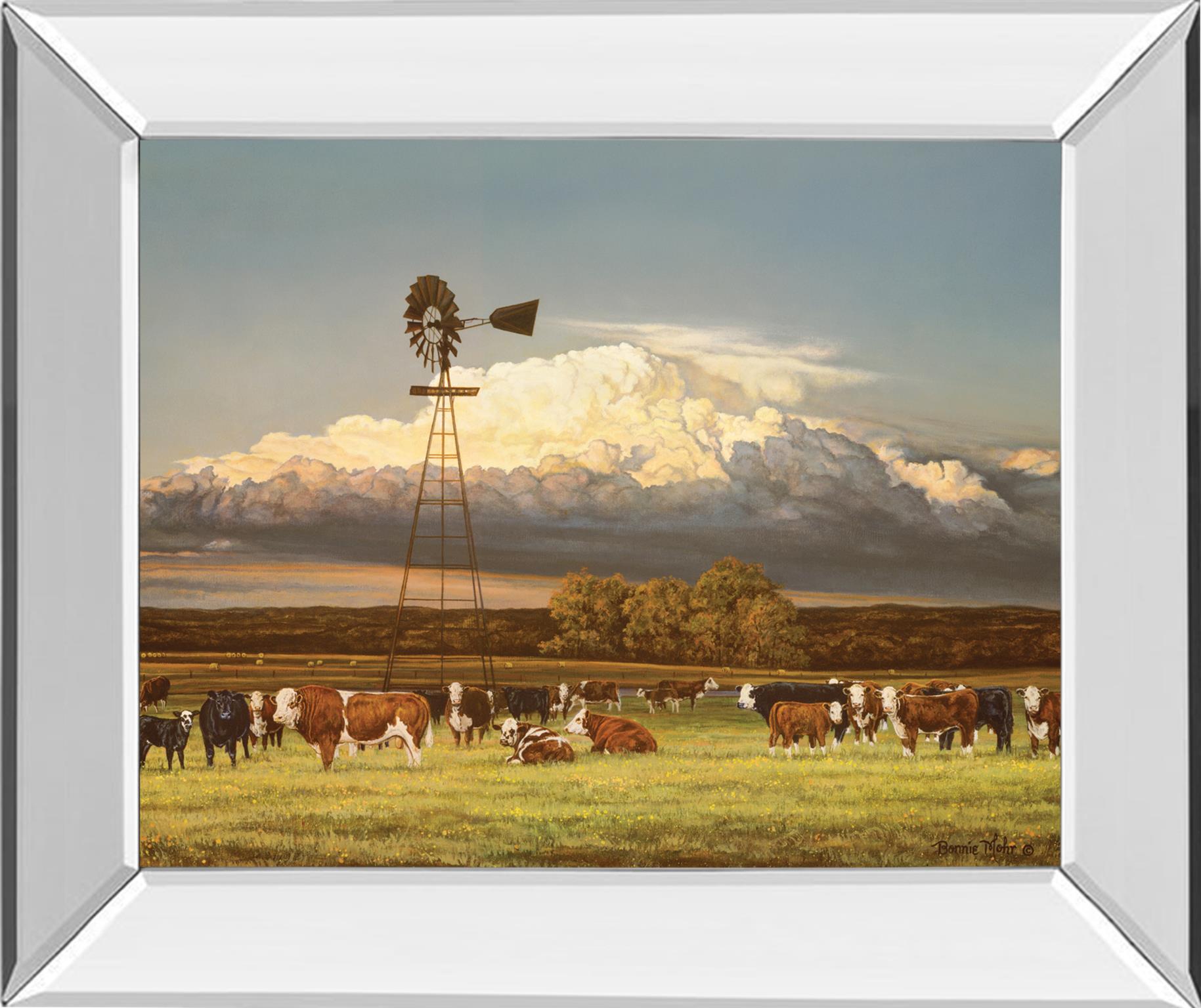 Mirrored Frame Summer Pastures By Bonnie Mohr ***Monl*** 22X26 Mirror Frame Print