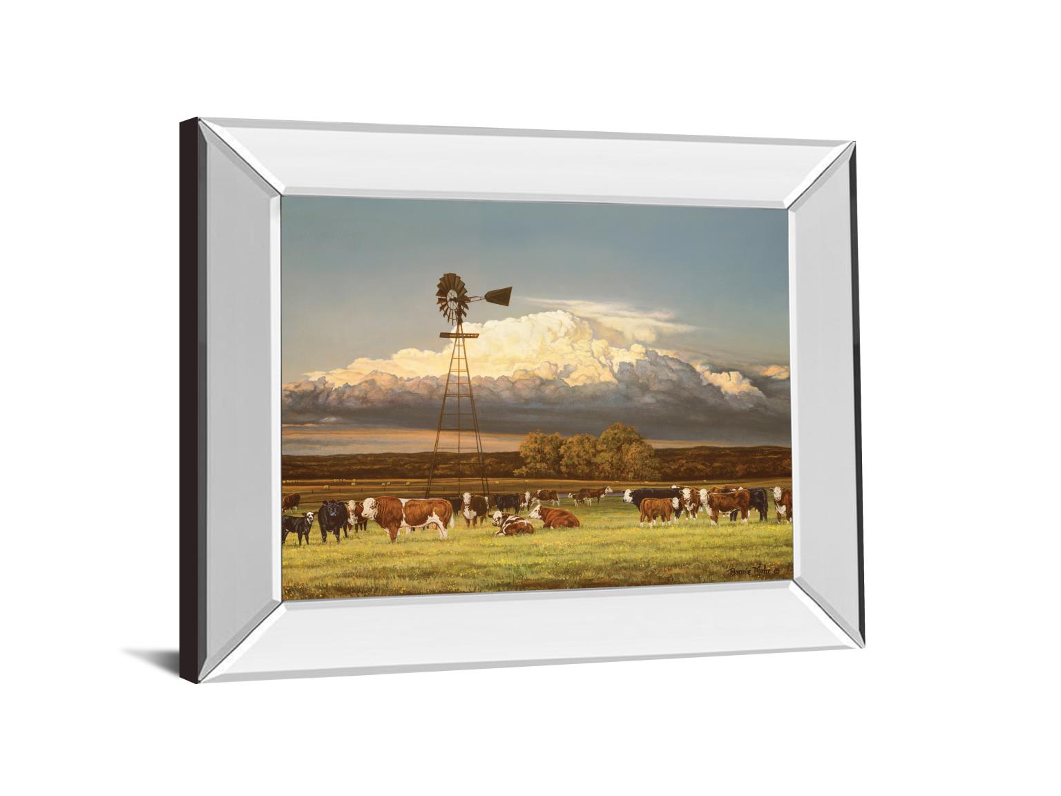 Mirrored Frame Summer Pastures By Bonnie Mohr ***Monl*** 22X26 Mirror Frame Print