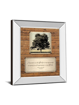 Mirrored Frame Opportunity By John Jones 22X26 Mirror Frame Print