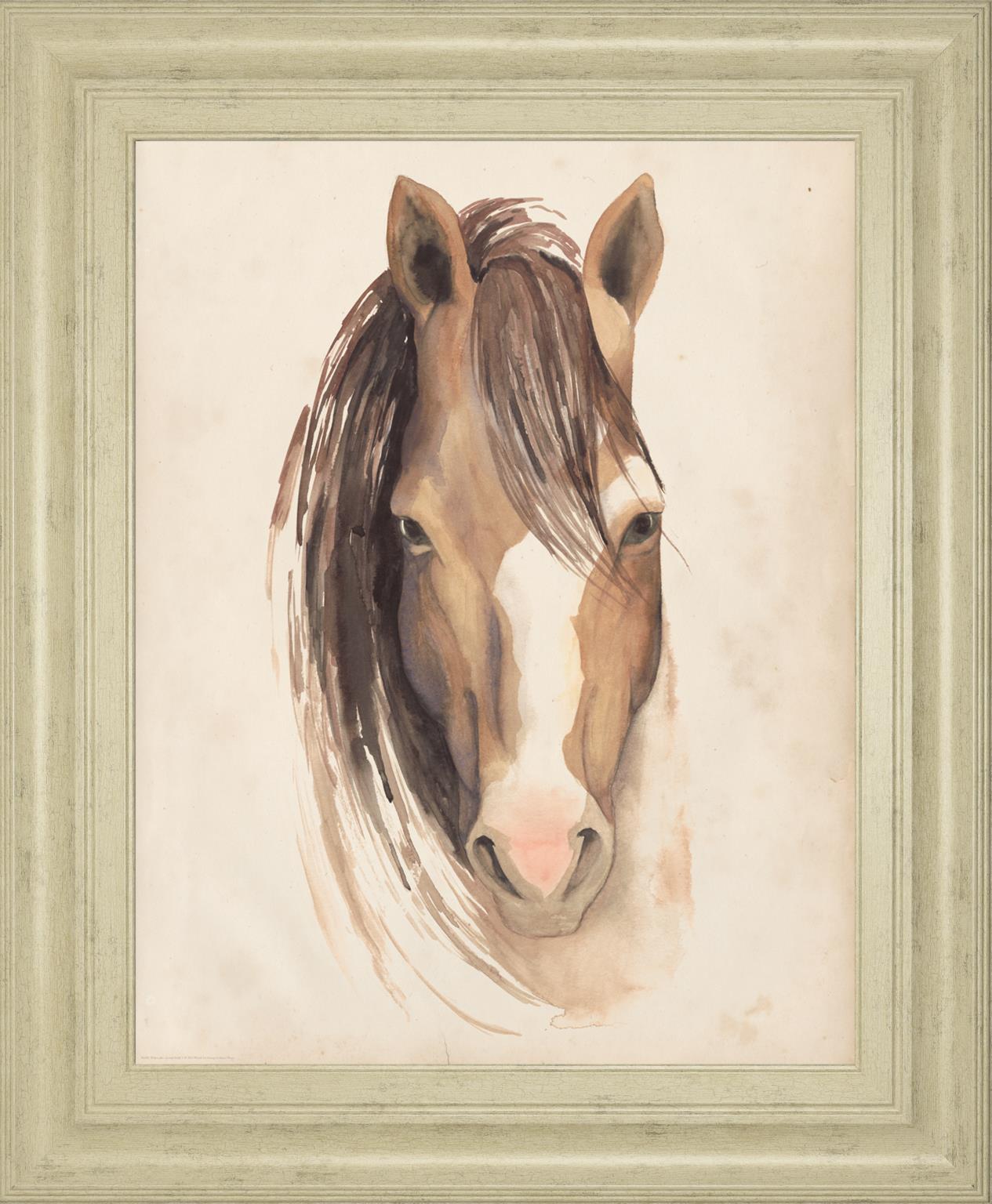 Watercolor Animal Study By Grace Popp 22X26 Framed Print