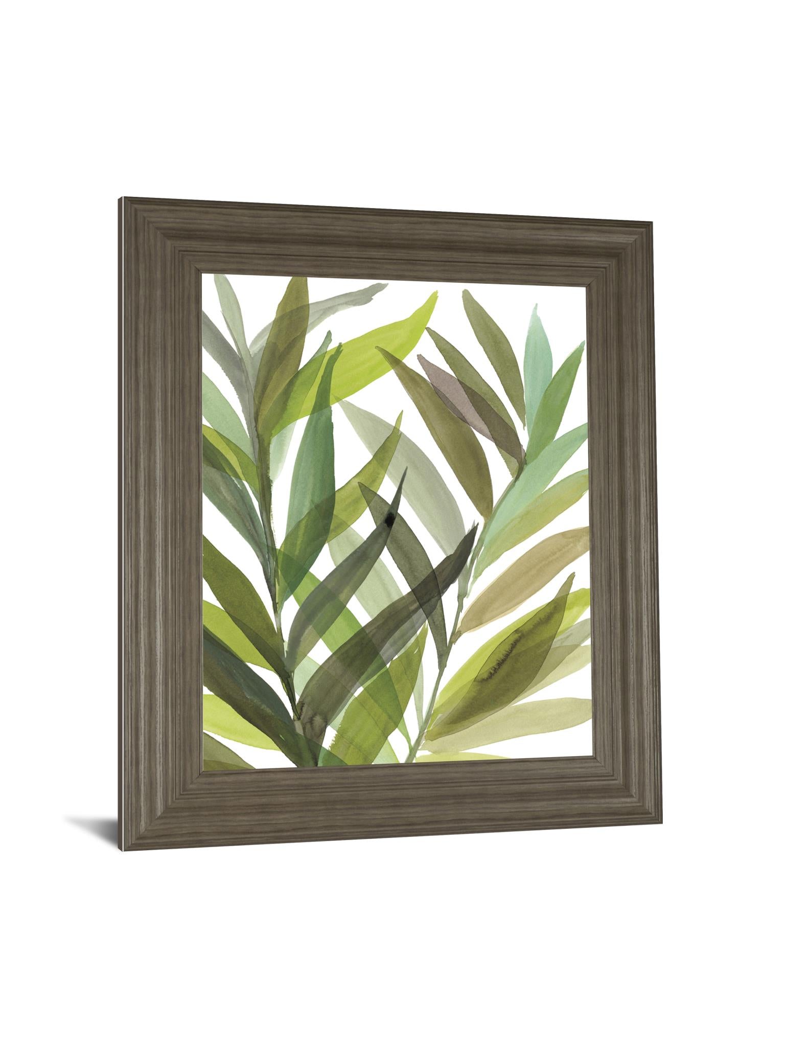 Tropical Greens I By Rebecca Meyers 22X26 Framed Print