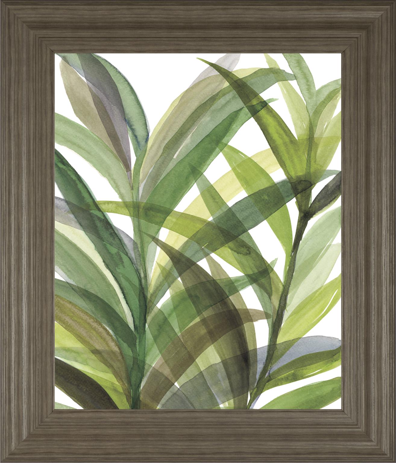 Tropical Greens Ii By Rebecca Meyers 22X26 Framed Print