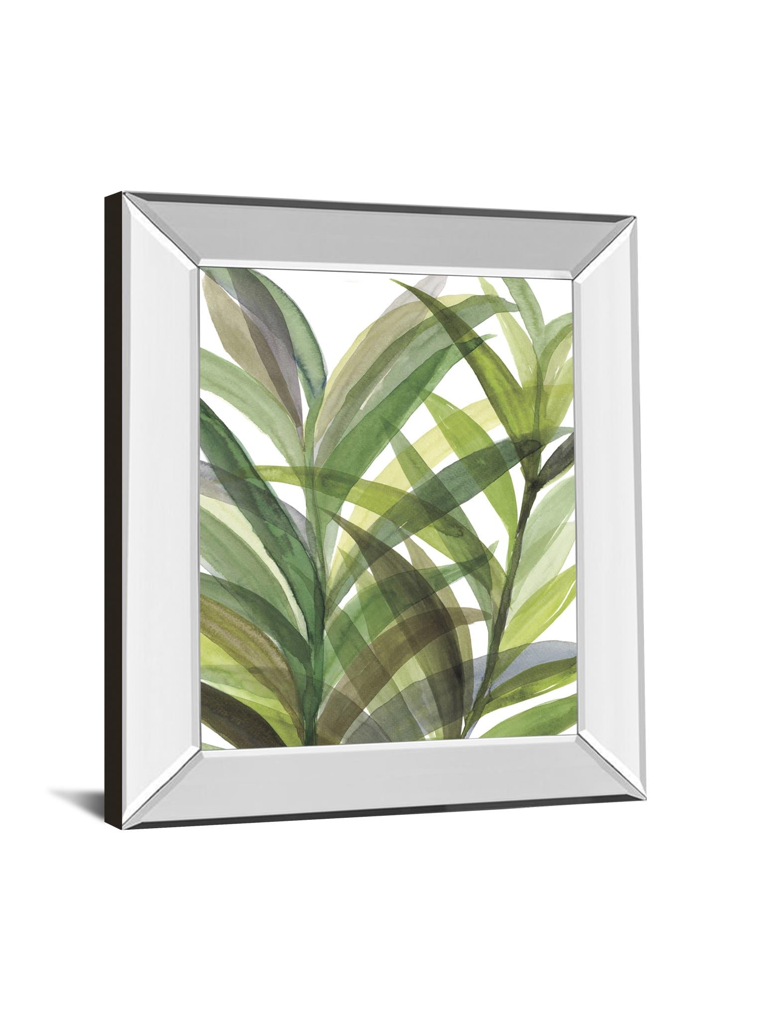 Mirrored Frame Tropical Greens Ii By Rebecca Meyers 22X26 Mirror Frame Print
