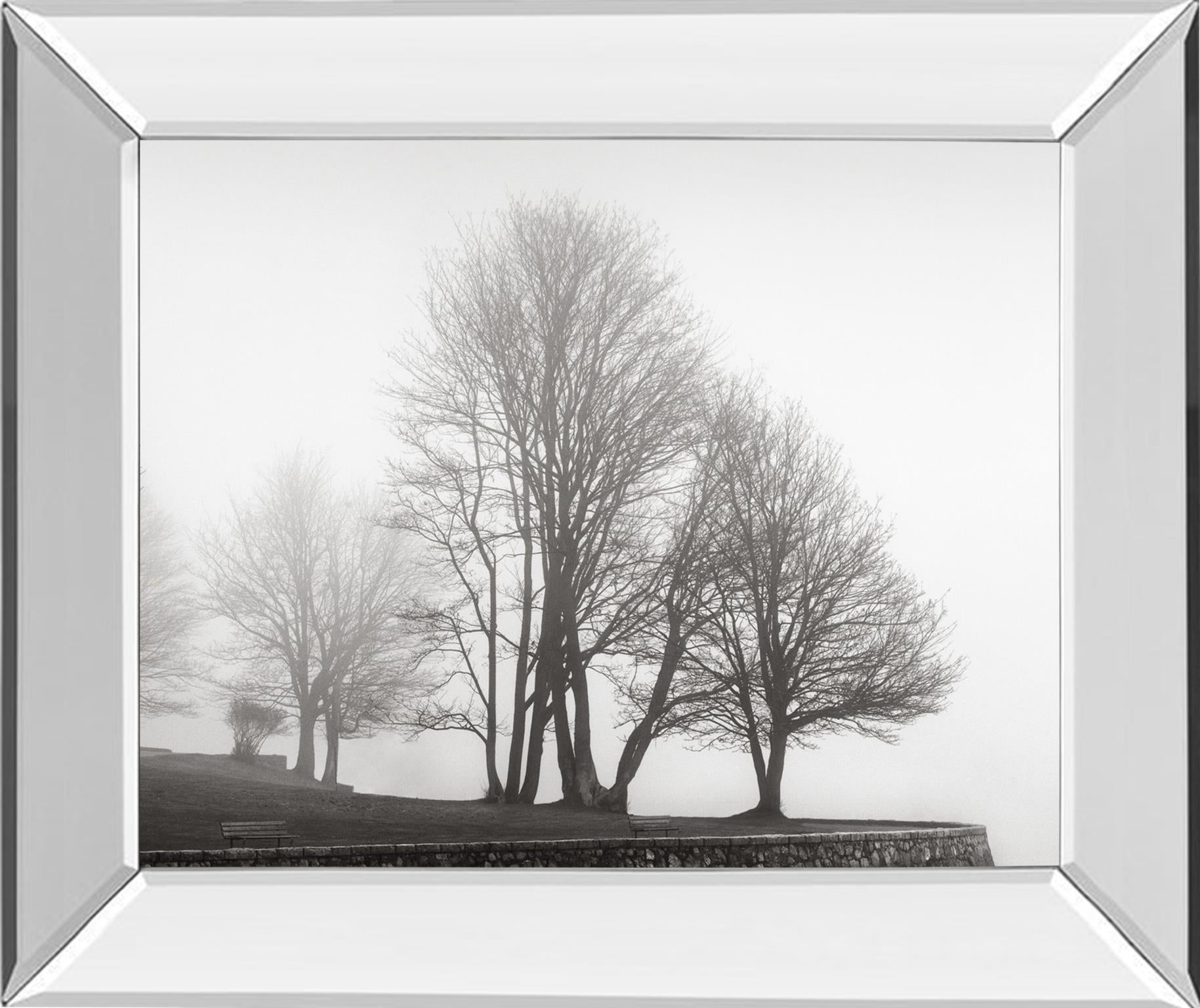 Mirrored Frame Fog And Trees At Dusk By Lsh 22X26 Mirror Frame Print