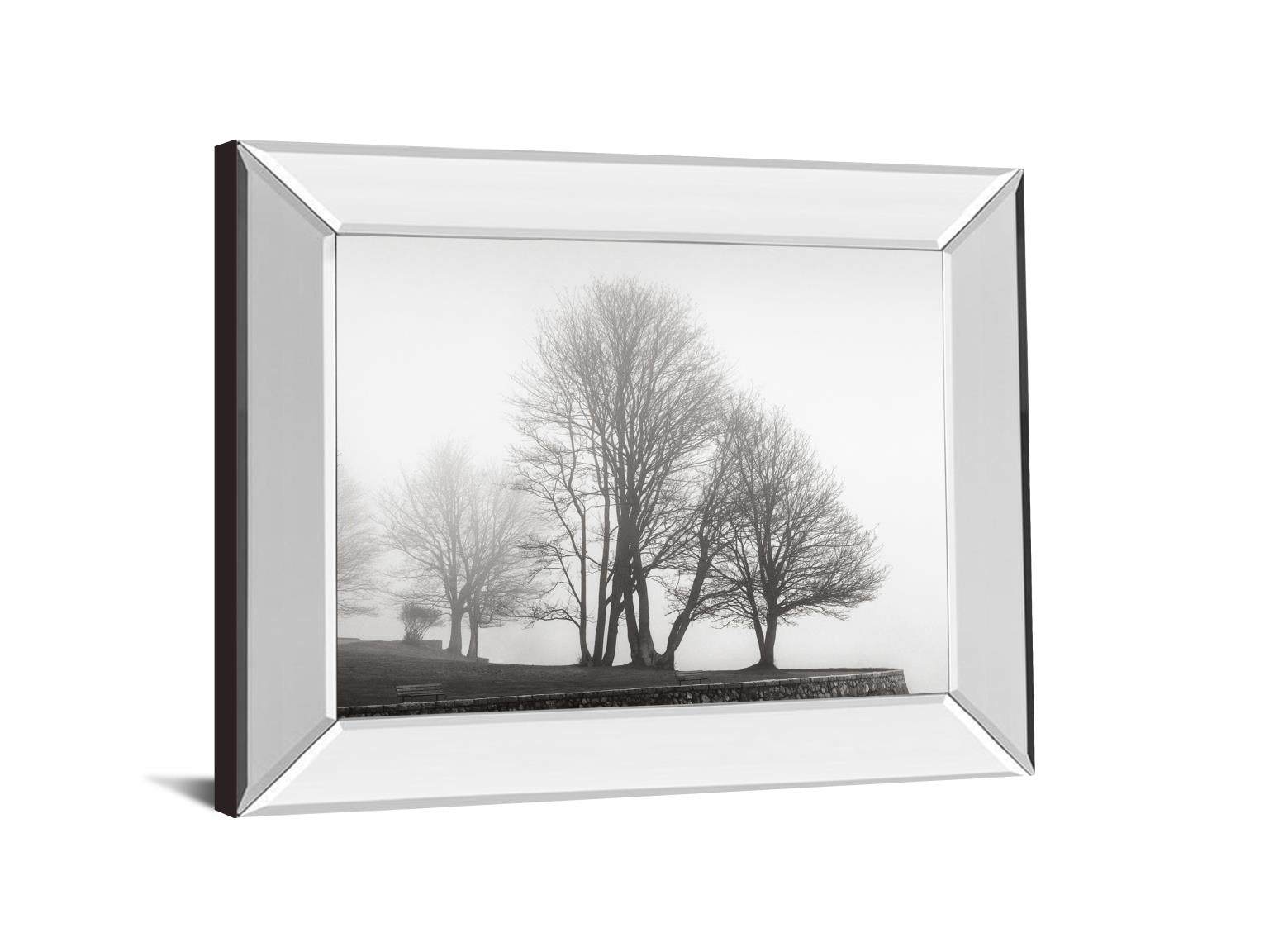 Mirrored Frame Fog And Trees At Dusk By Lsh 22X26 Mirror Frame Print