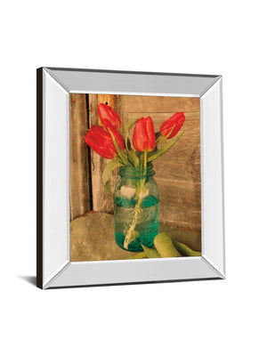 Mirrored Frame Country Tulips By Anthony Smith 22X26 Mirror Frame Print