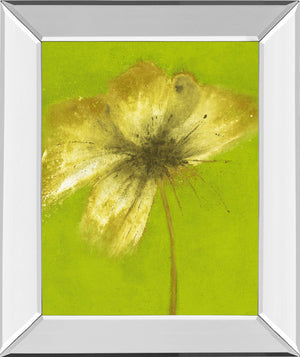 Mirrored Frame Floral Burst Vi By Emma Forrester 22X26 Mirror Frame Print
