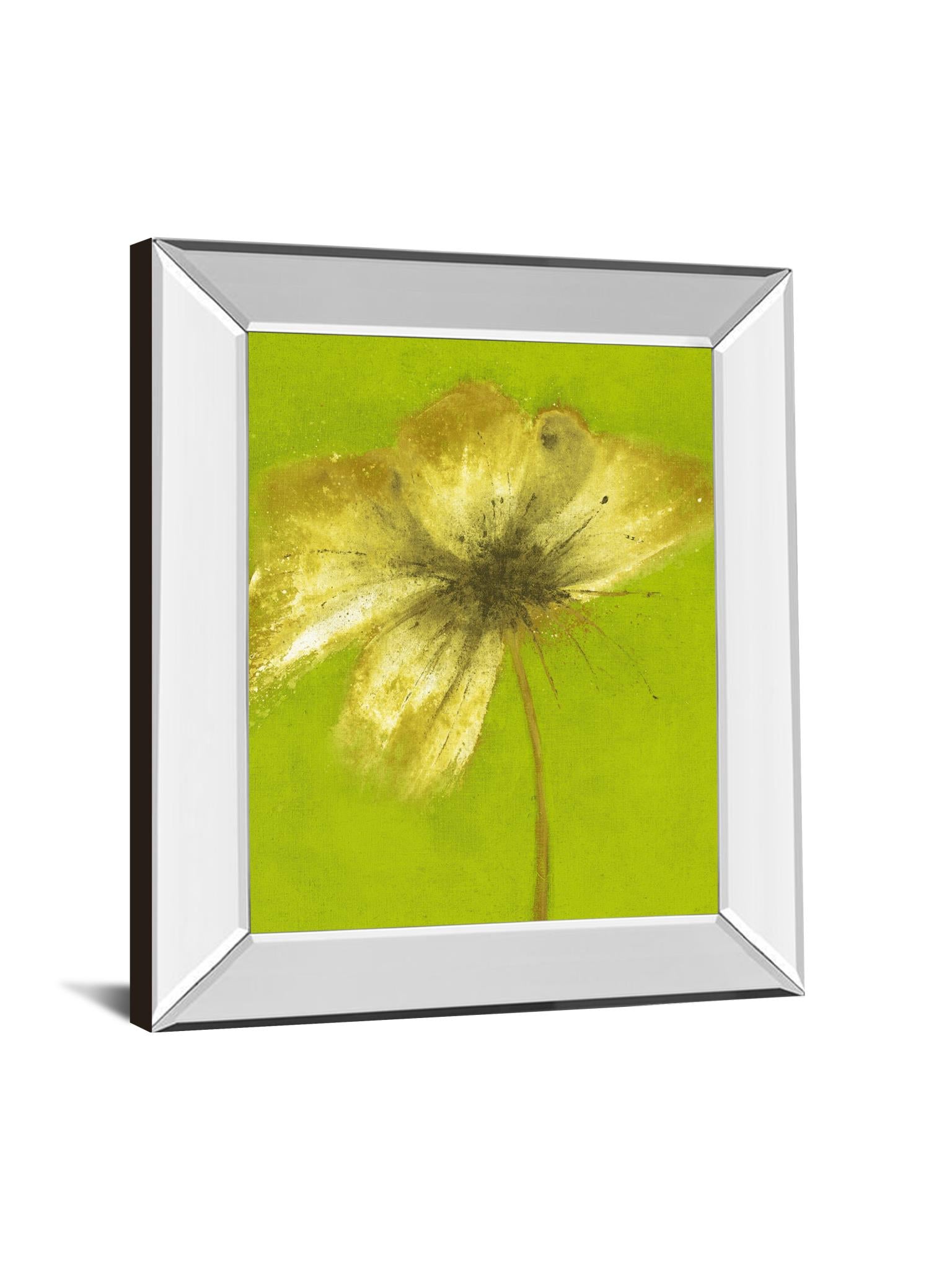 Mirrored Frame Floral Burst Vi By Emma Forrester 22X26 Mirror Frame Print