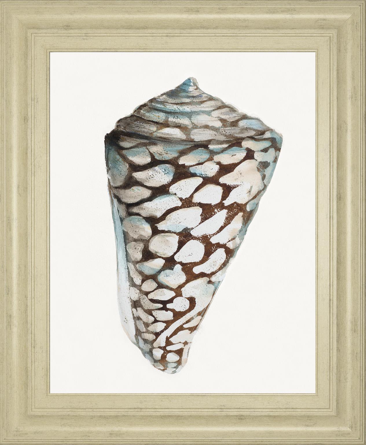 Modern Shell With Teal Ii By Patricia Pinto 22X26 Framed Print