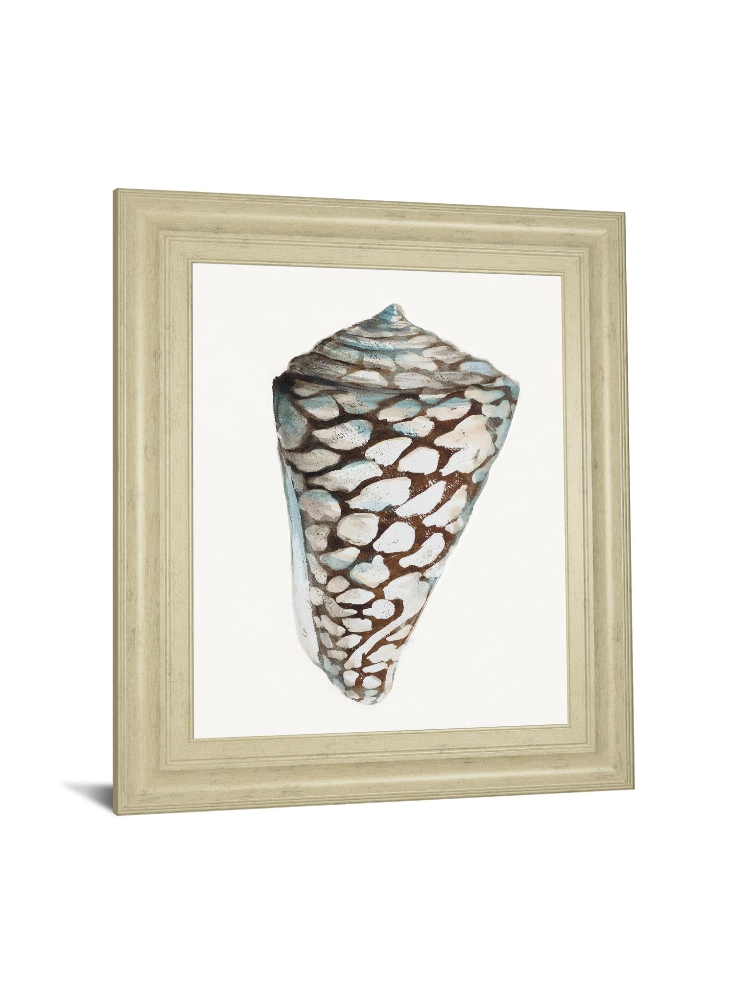 Modern Shell With Teal Ii By Patricia Pinto 22X26 Framed Print