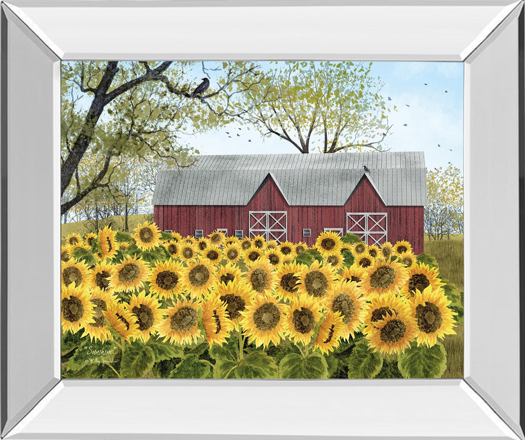 Mirrored Frame Sunshine By Billy Jacobs 22X26 Mirror Frame Print