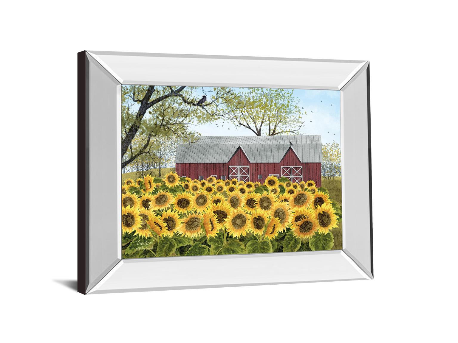 Mirrored Frame Sunshine By Billy Jacobs 22X26 Mirror Frame Print