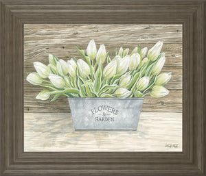 Flowers & Garden Tulips By Cindy Jacobs 22X26 Framed Print