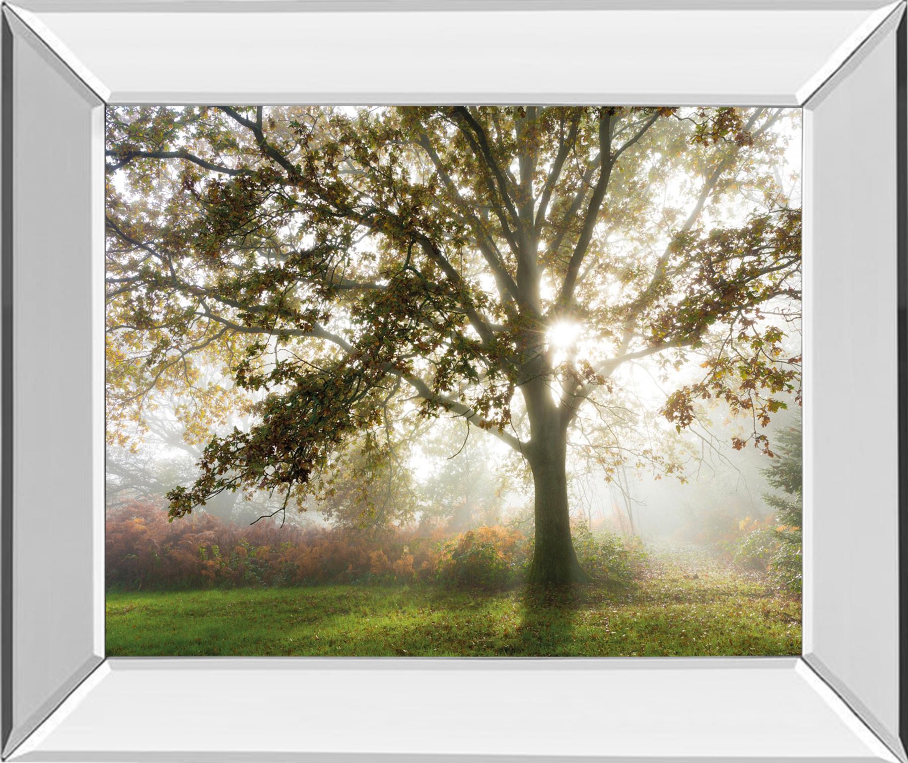 Mirrored Frame Morning Calm By Lee Frost 22X26 Mirror Frame Print